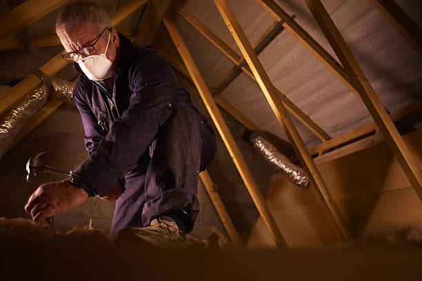Best Residential Insulation in Humboldt, IA
